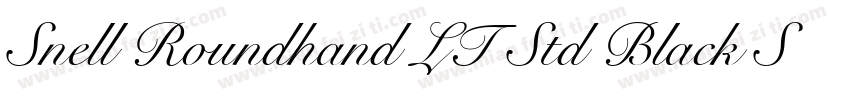 Snell Roundhand LT Std Black Script字体转换